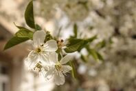 Unity Monatsmeditation